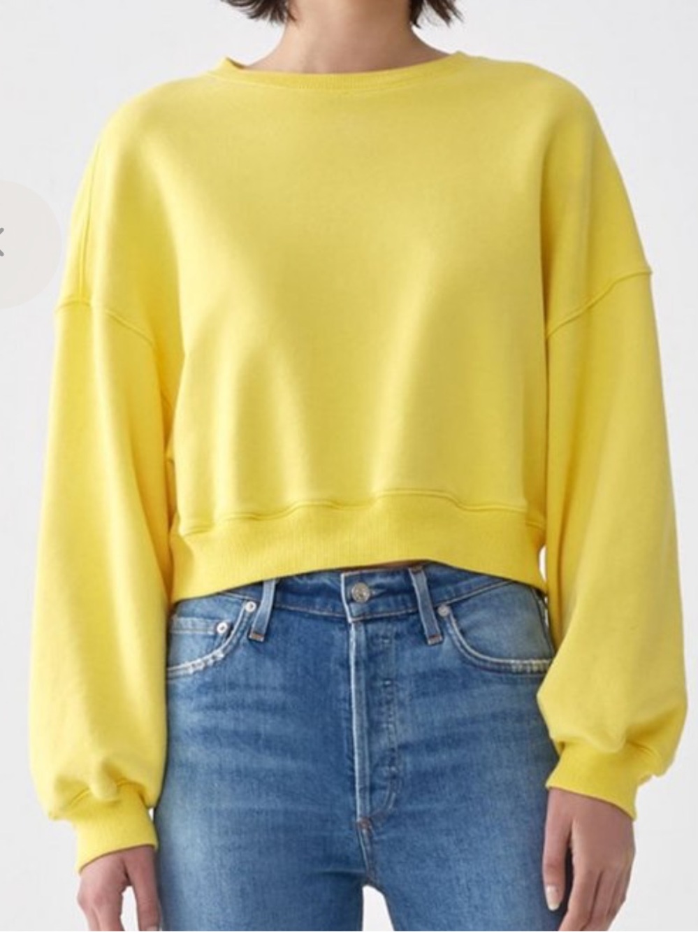 Agolde Balloon Sleeve Crop Sweatshirt
